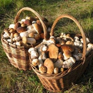 Картинка с интернета.