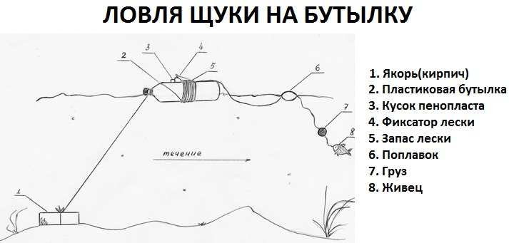 Щука на живца с берега летом. Ловля щуки на бутылку оснастка с лодки. Рыбалка на живца с берега снасти. Донка схема оснастки. Приспособление для ловли щуки на живца.