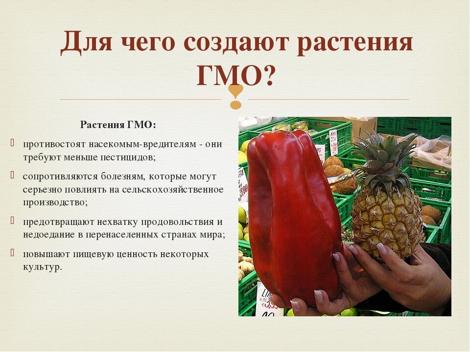 Трансгенные растения картинки