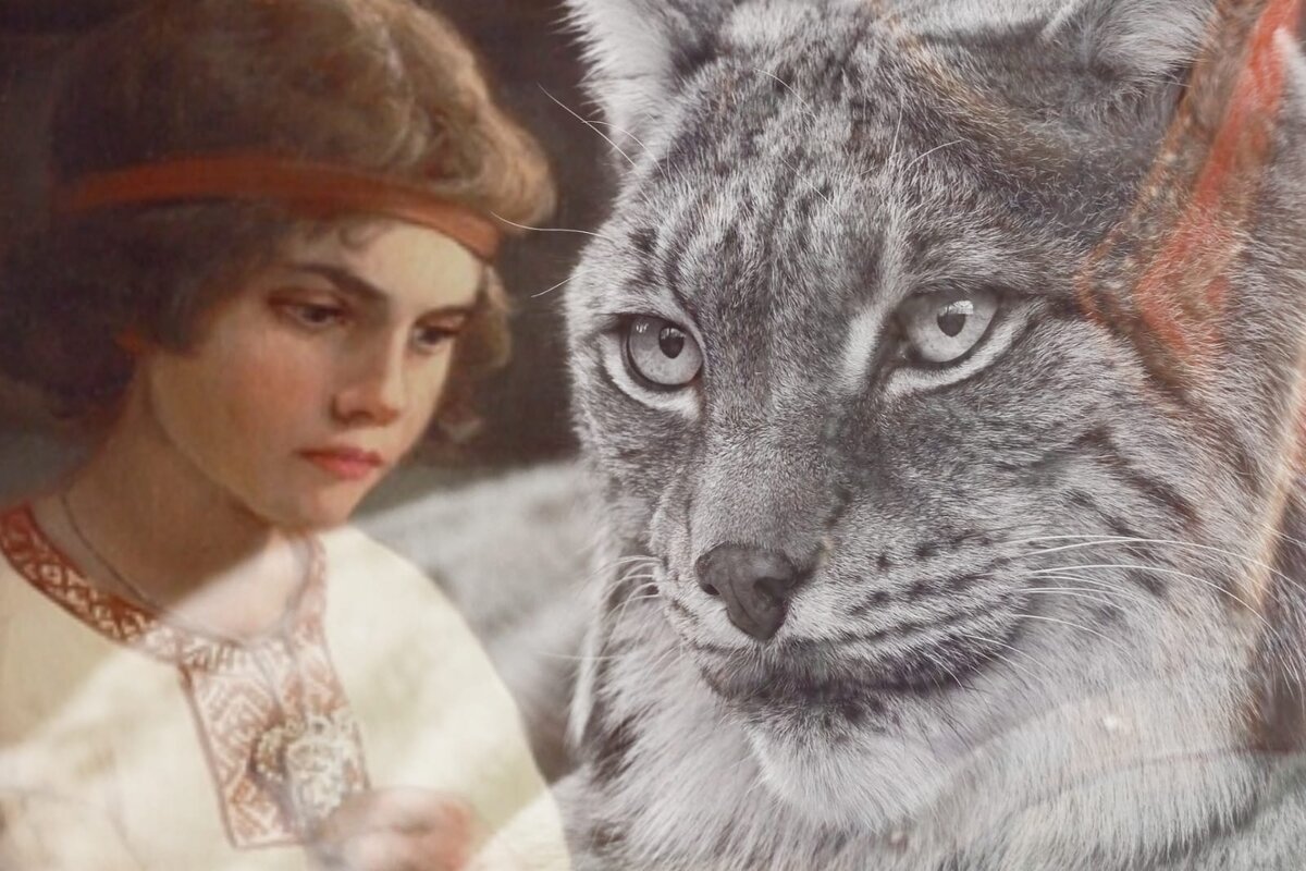 Фото взято из источников интернета и обработано 