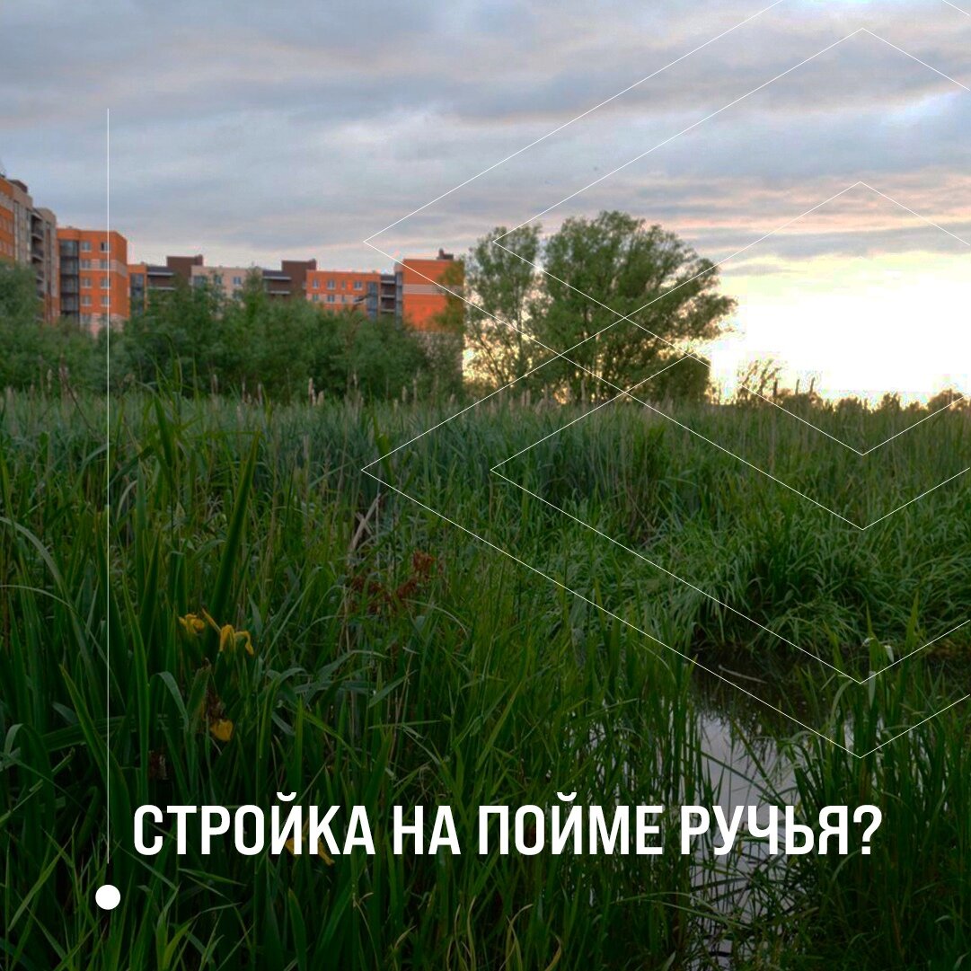 Пойма ручья Товарный (ул. Тихорецкая, г. Калининград). Изображение 2: roscadastr.com