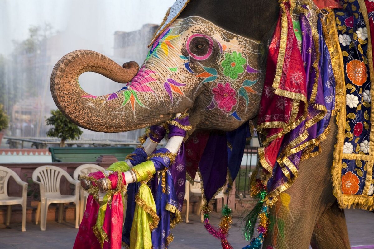 Слон в культуре Индии