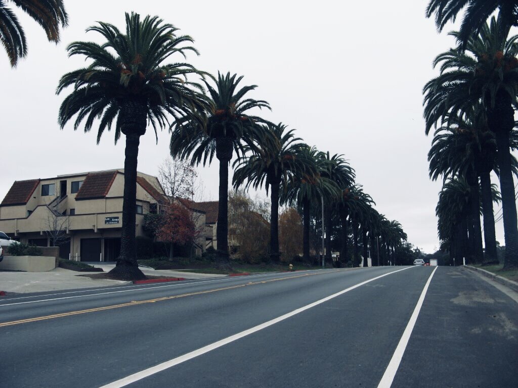 California Blvd. - предполагаемая локация