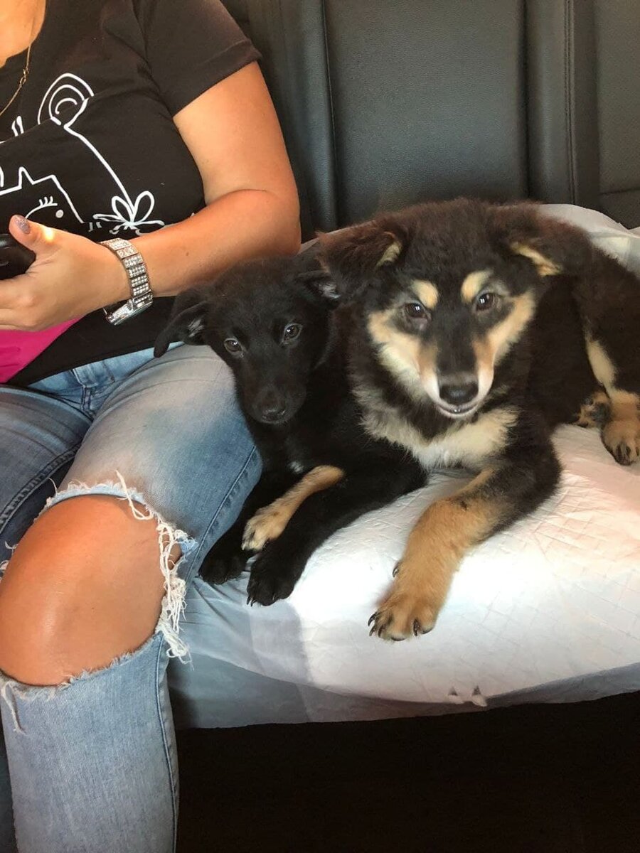 Ольга с девчонками на пути в клинику.