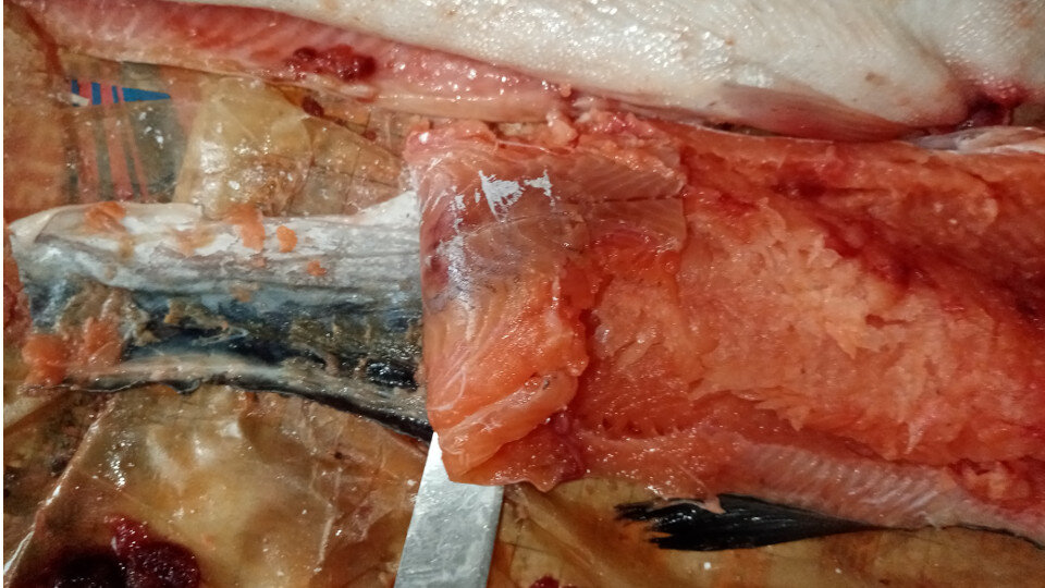 Отделяем филе