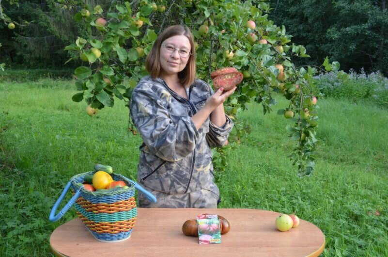 В разрезе помидор сорта "Полосатый шоколад".