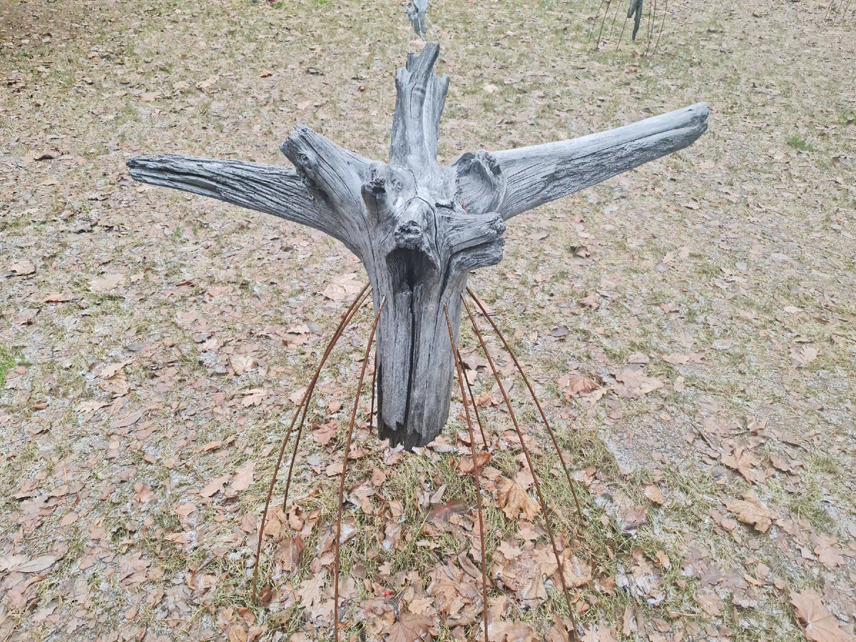 Необъяснимая вещь в лесу.