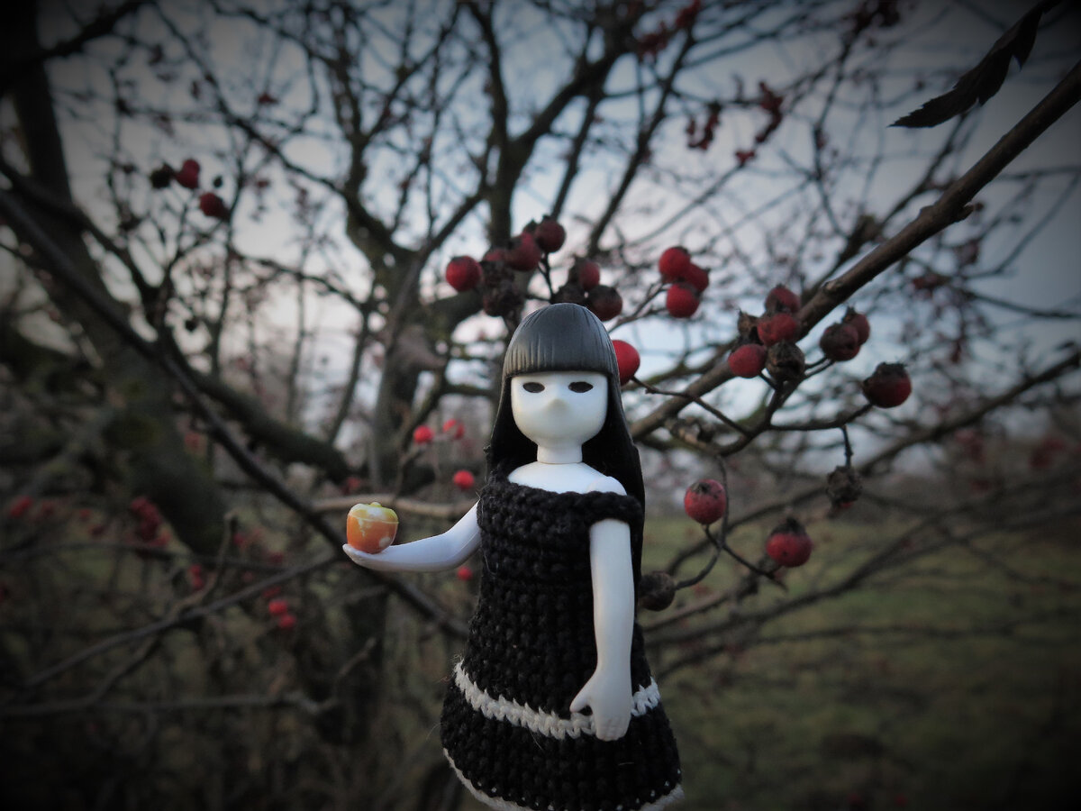 Кукла Little Apple Dolls из моей коллекции. Все фотографии авторские.