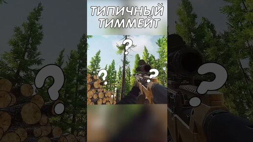Девушка тиммейт