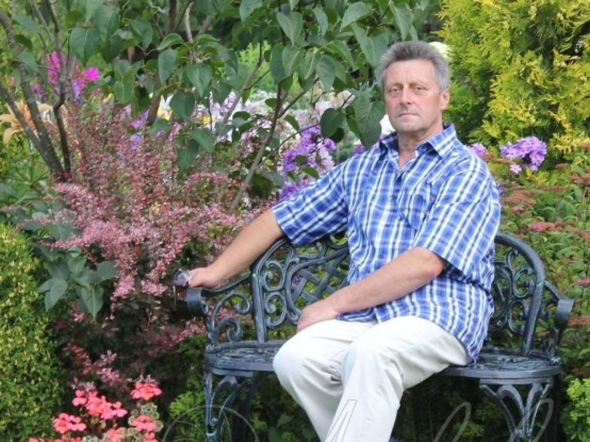 фото с сайта https://www.leskovo-pitomnik.ru/rasteniya-leskovo-v-sadah.html/id/98