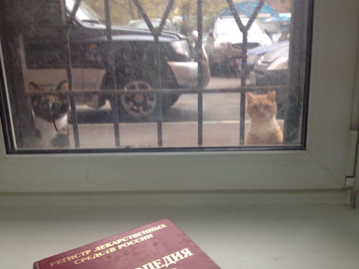 Бася и Фрося интересуются..