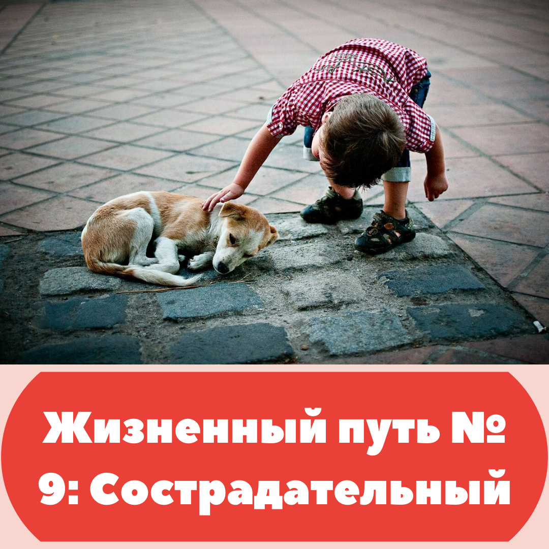 Жизненный путь № 9: Сострадательный
