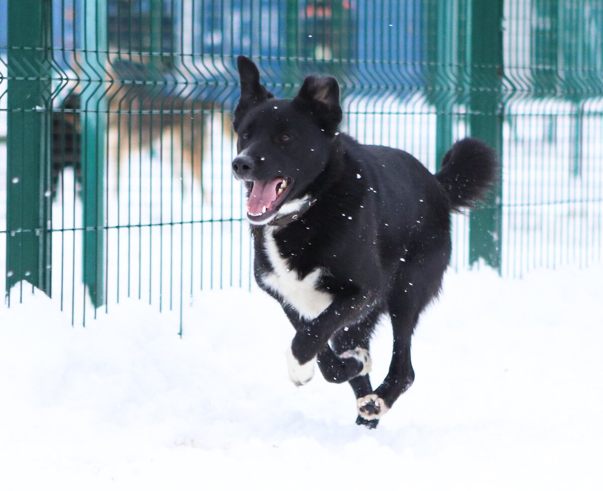Есть только два способа прожить жизнь. Первый — будто чудес не существует. Второй — будто кругом одни чудеса.