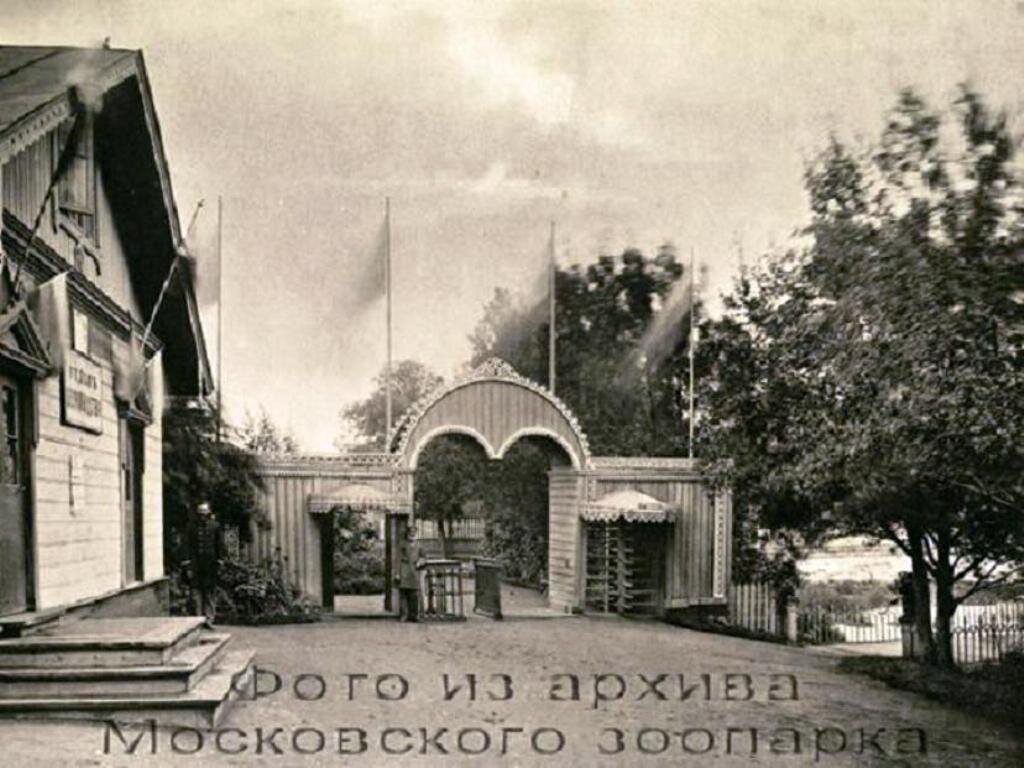 фотографии  с сайта pastvu.com