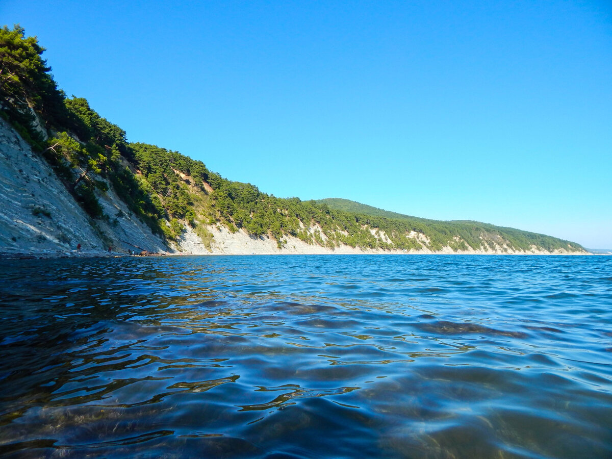 Черное море бетта