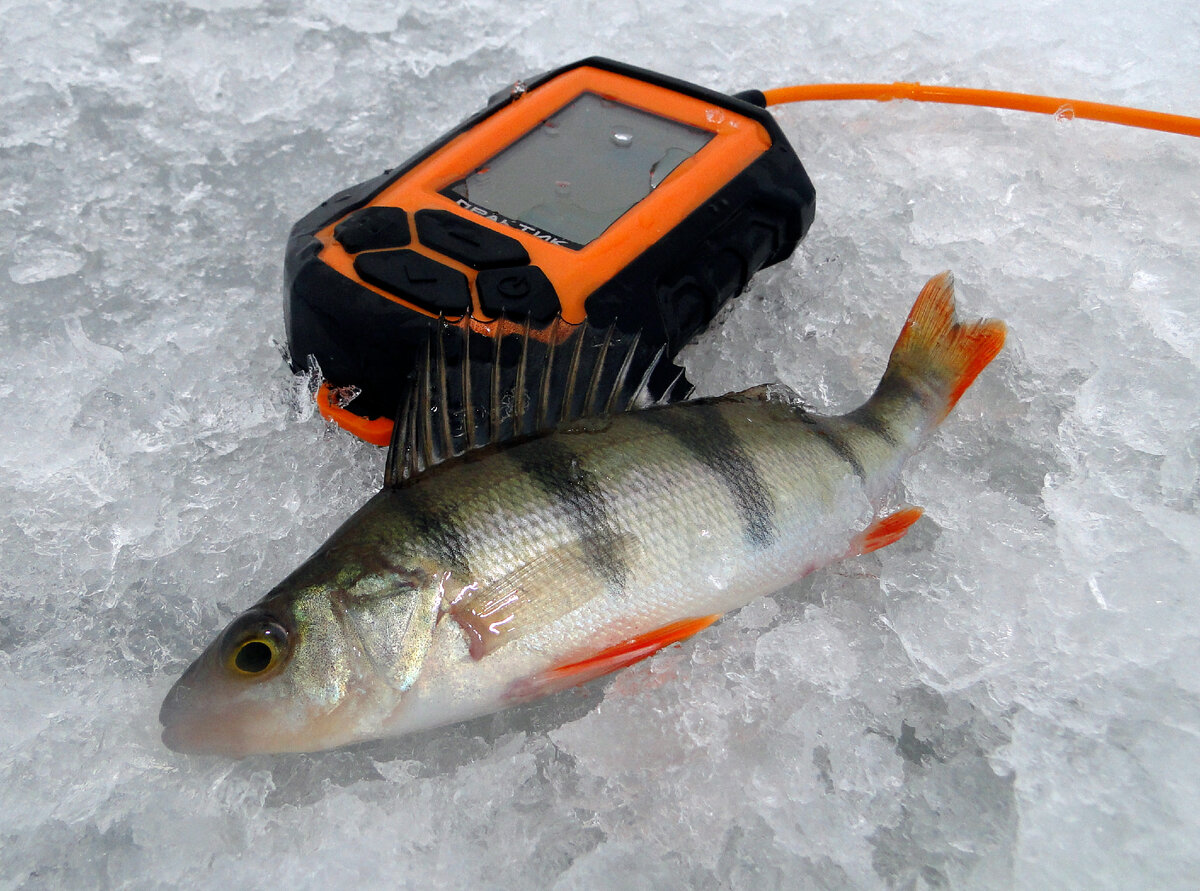 Таких дрищей давно на фарватере не ловил... Аж сам испугался!