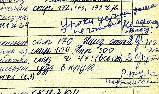 Примерно так выглядел дневник девочки-первоклассницы. Фото с сайта  https://back-in-ussr.com/