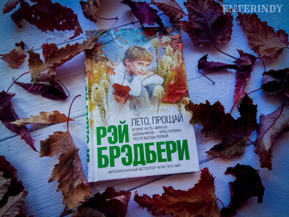 Прощай лето книга отзыв Прощай лето книга отзыв