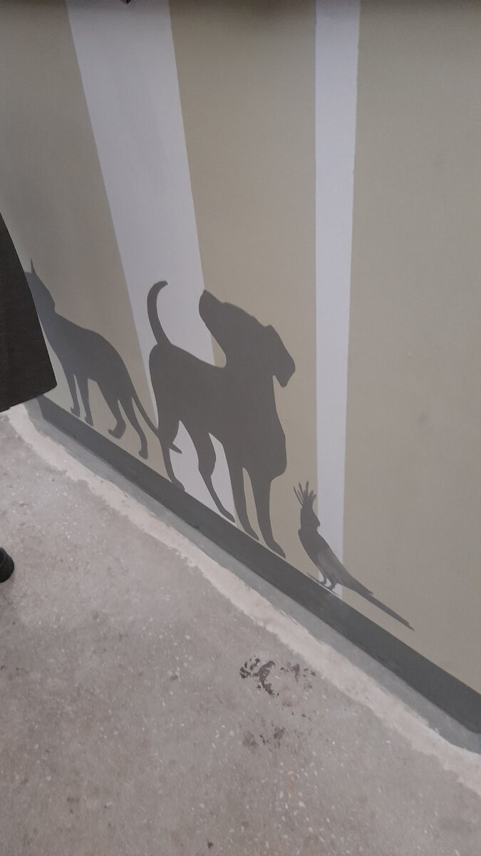 Хочу такую собачку, она даже по размерам, как моя Ася))) фото автора