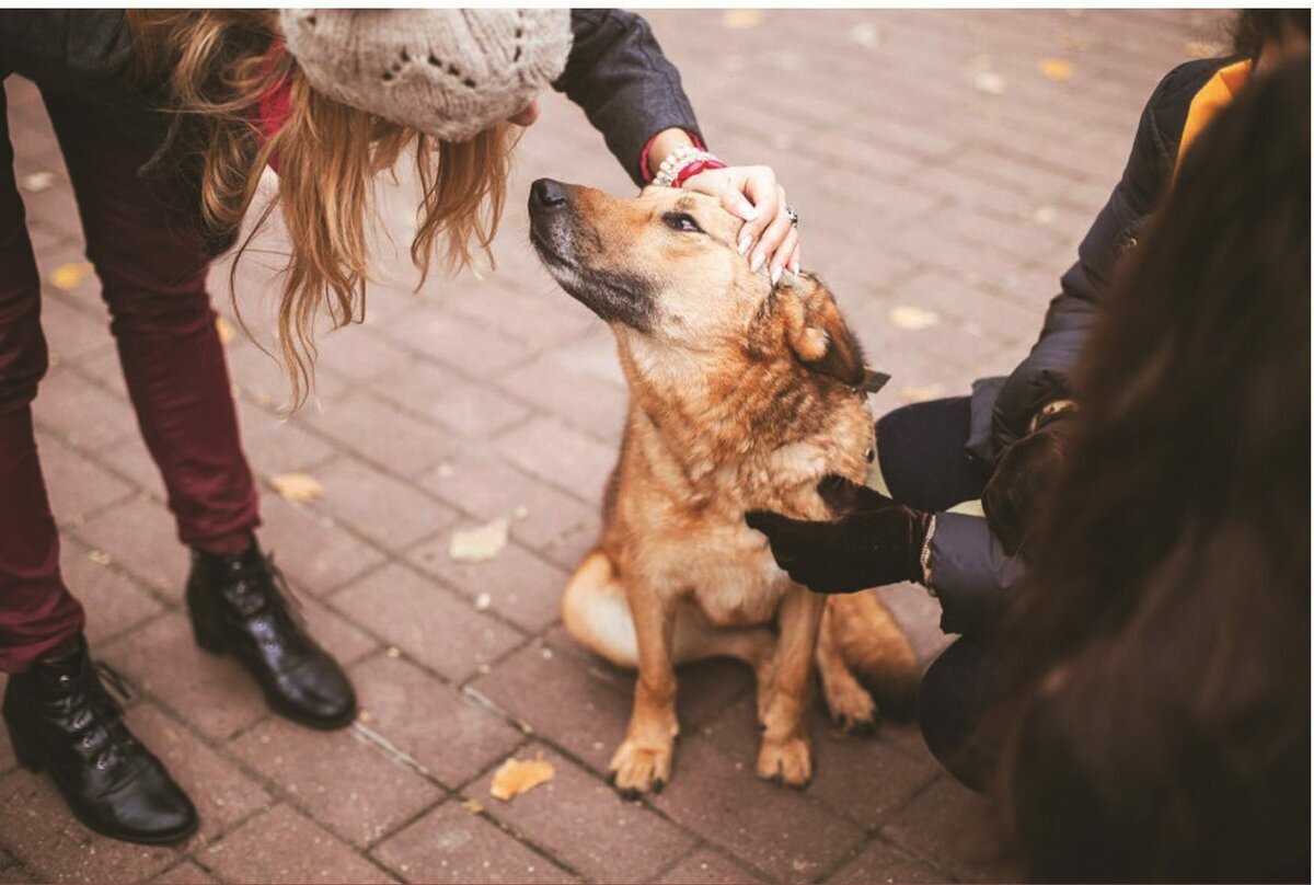 Источник фото: https://avatars.mds.yandex.net