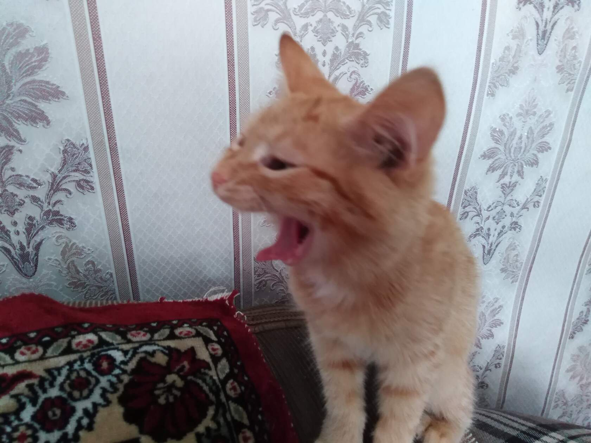 Не выспалась...