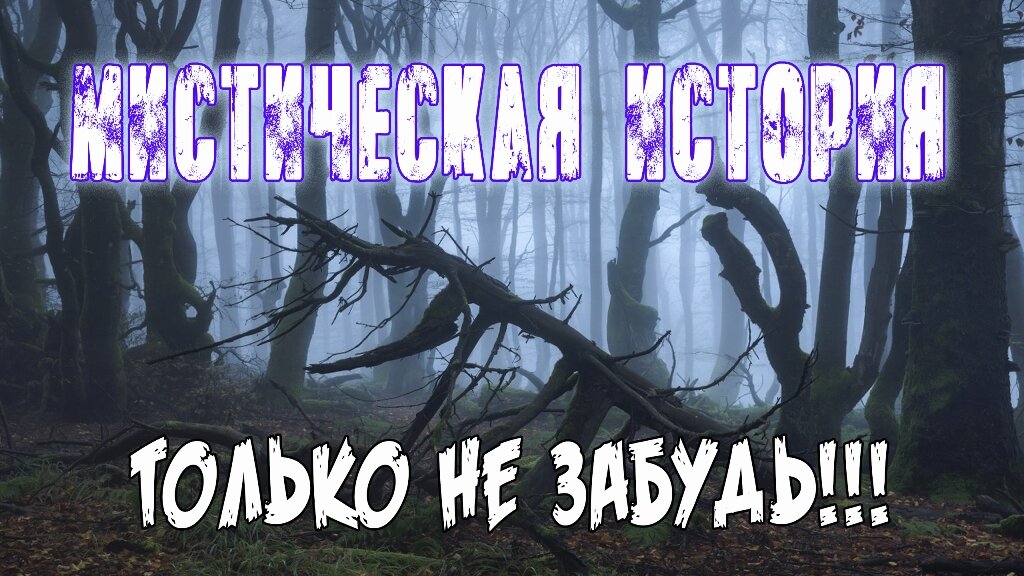 Страшилки на ночь