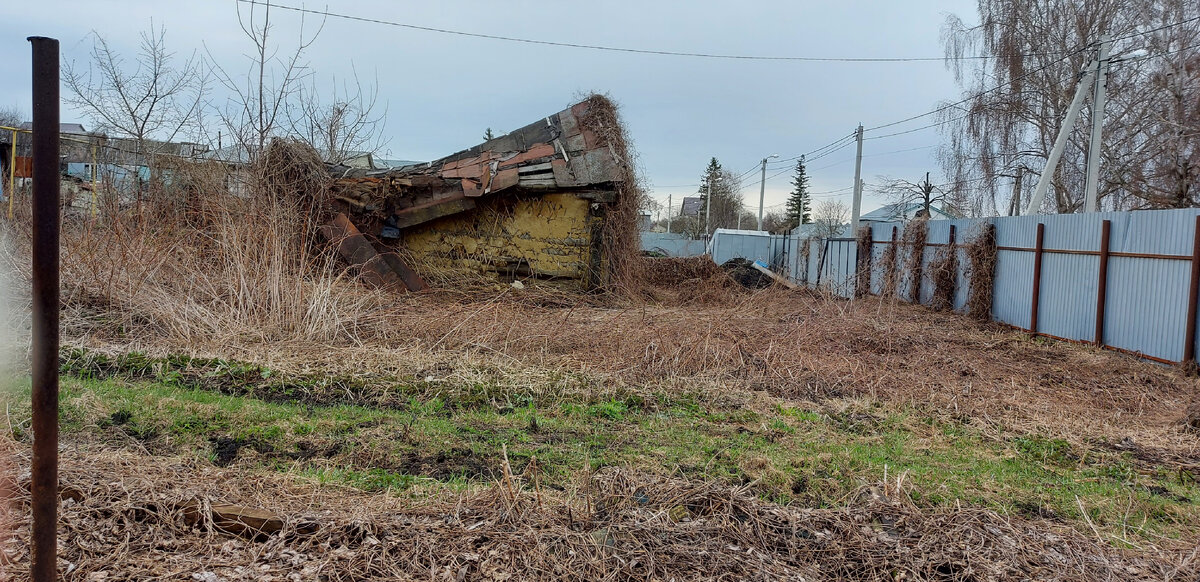 Фото автора.