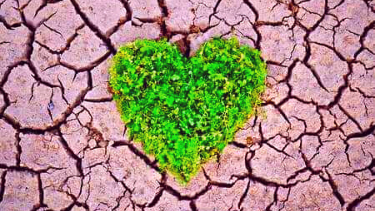 Земля меняется, но жизнь продолжается