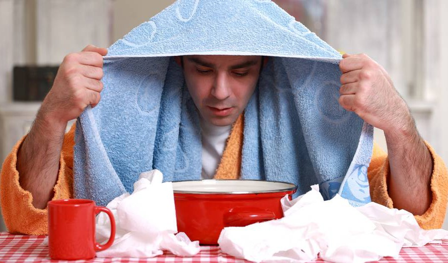 Яндекс. Картинки