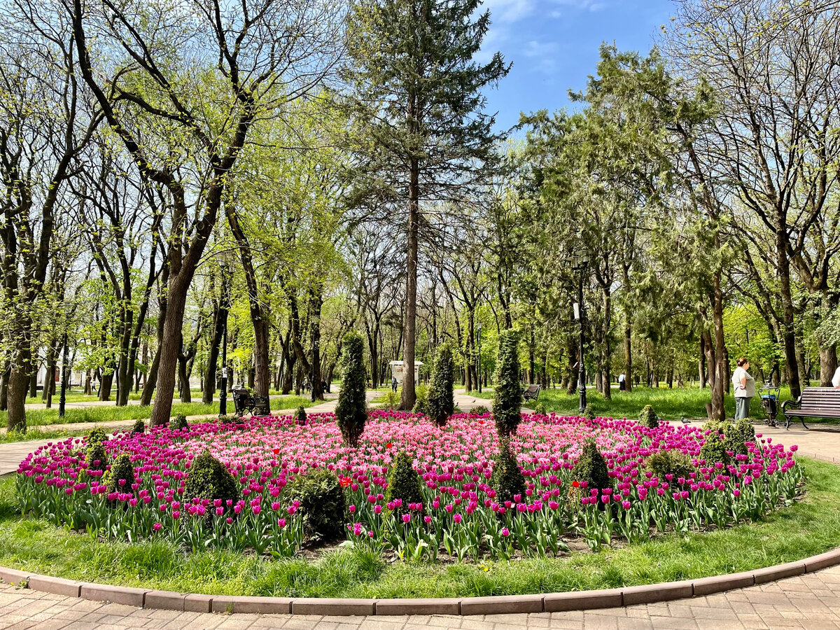В парке тишь да гладь. Фото автора