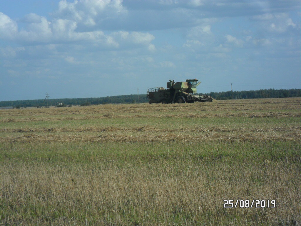 Комбайн на частном поле.