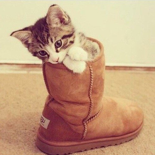 Фото из Интернета.