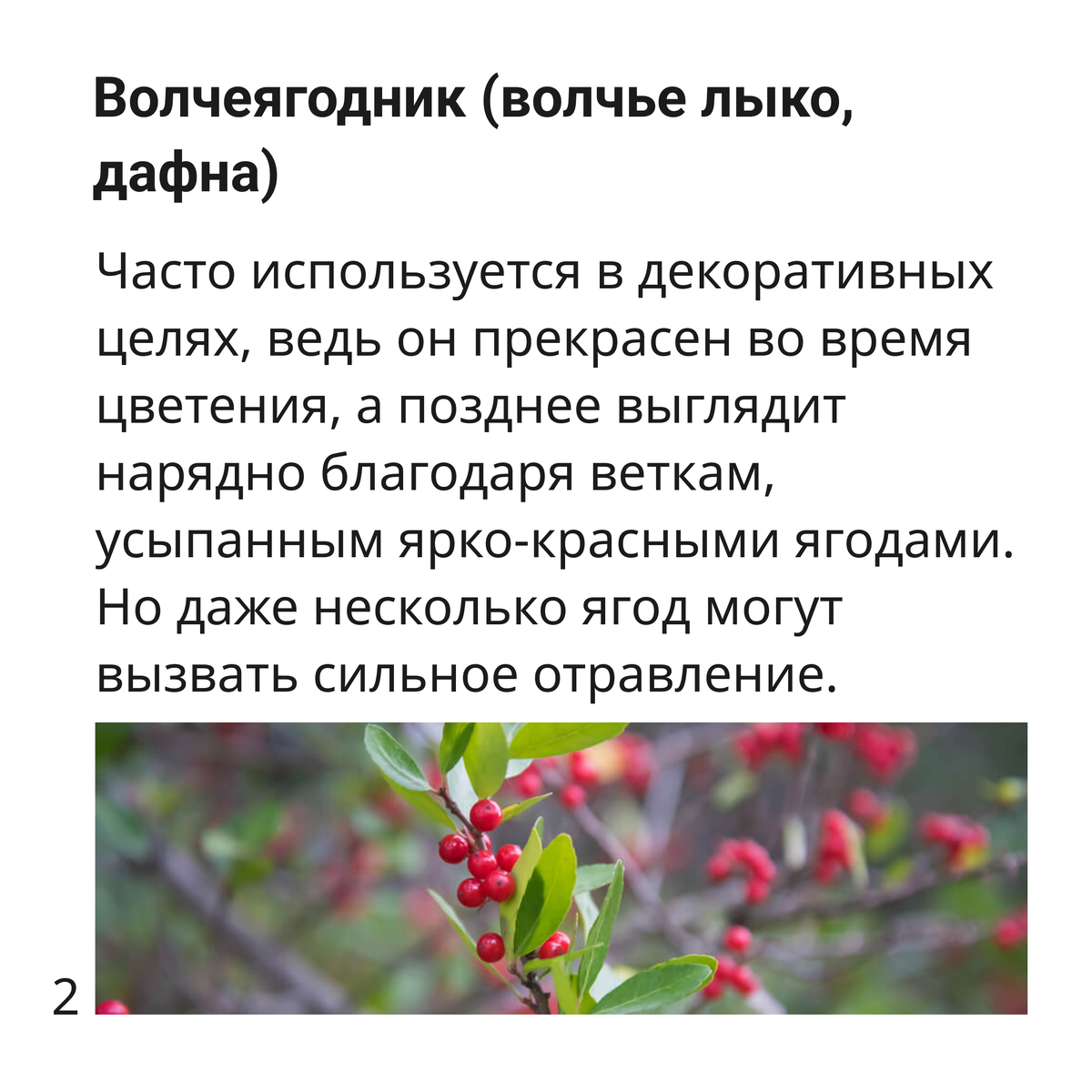 -2-2