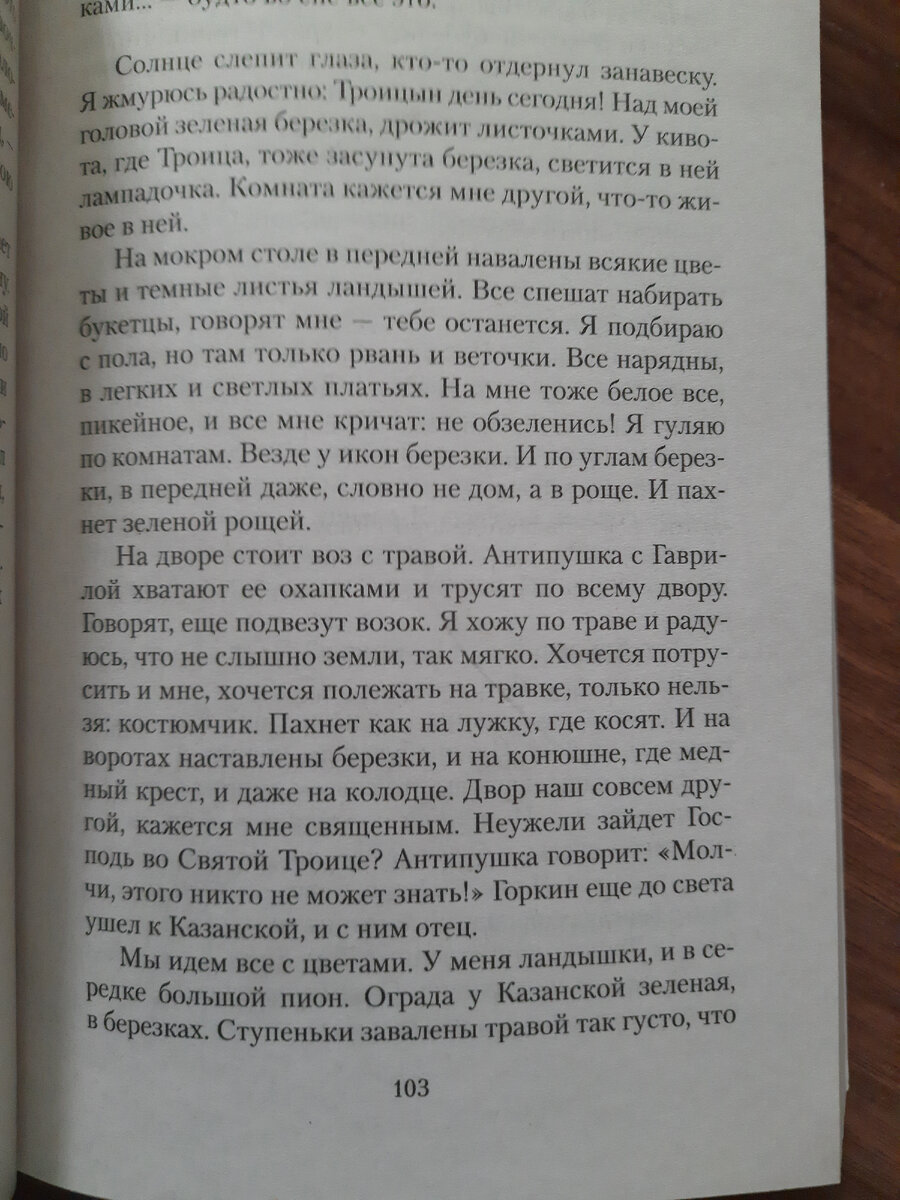 страницы книги