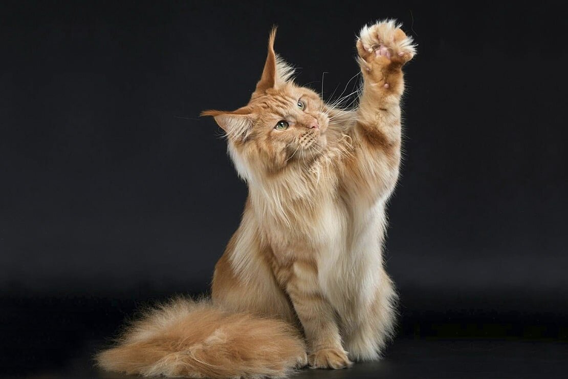 фото из интернета