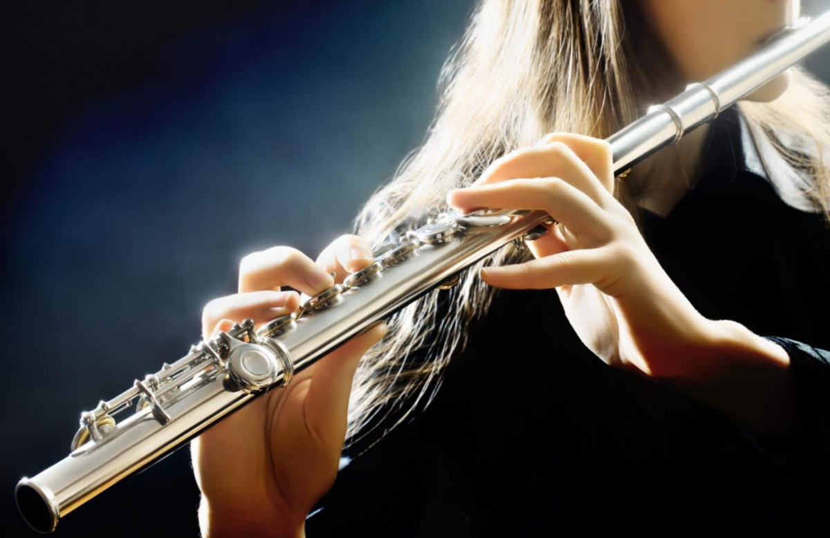 Музыка музыкальные инструменты флейта. Флейта. Флейта инструмент. Музыканты с музыкальными инструментами. Красивая флейта.