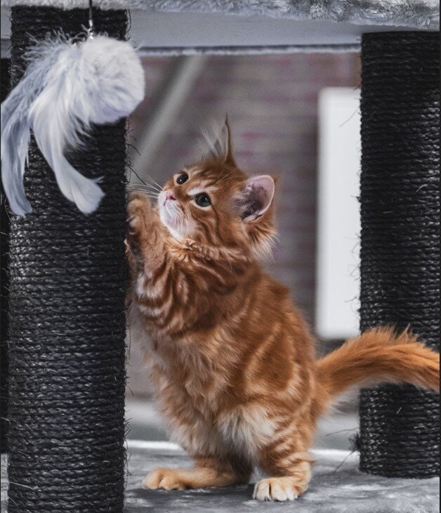 Фото с бесплатного фотостока - сайт www.loon.site 