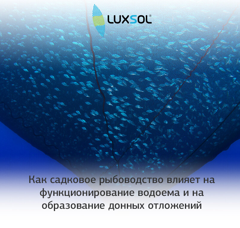 Как садковое рыбоводство влияет на функционирование водоема и на образование донных отложений