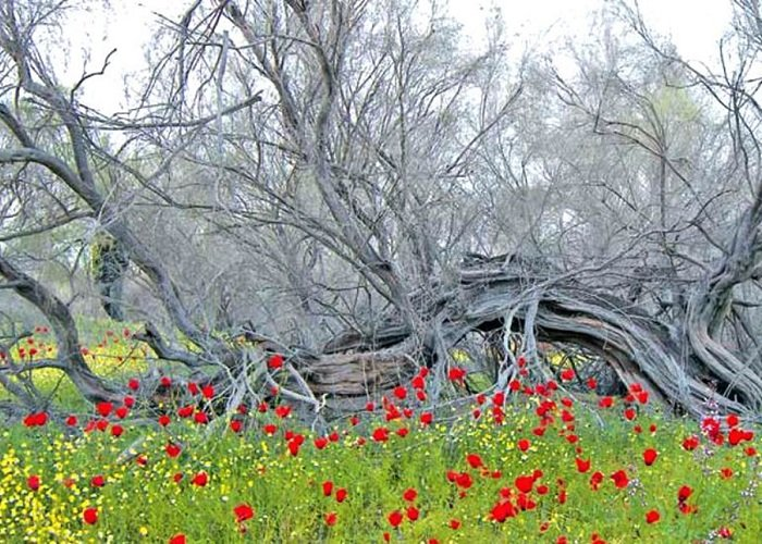 Источник фото: centralasia.news