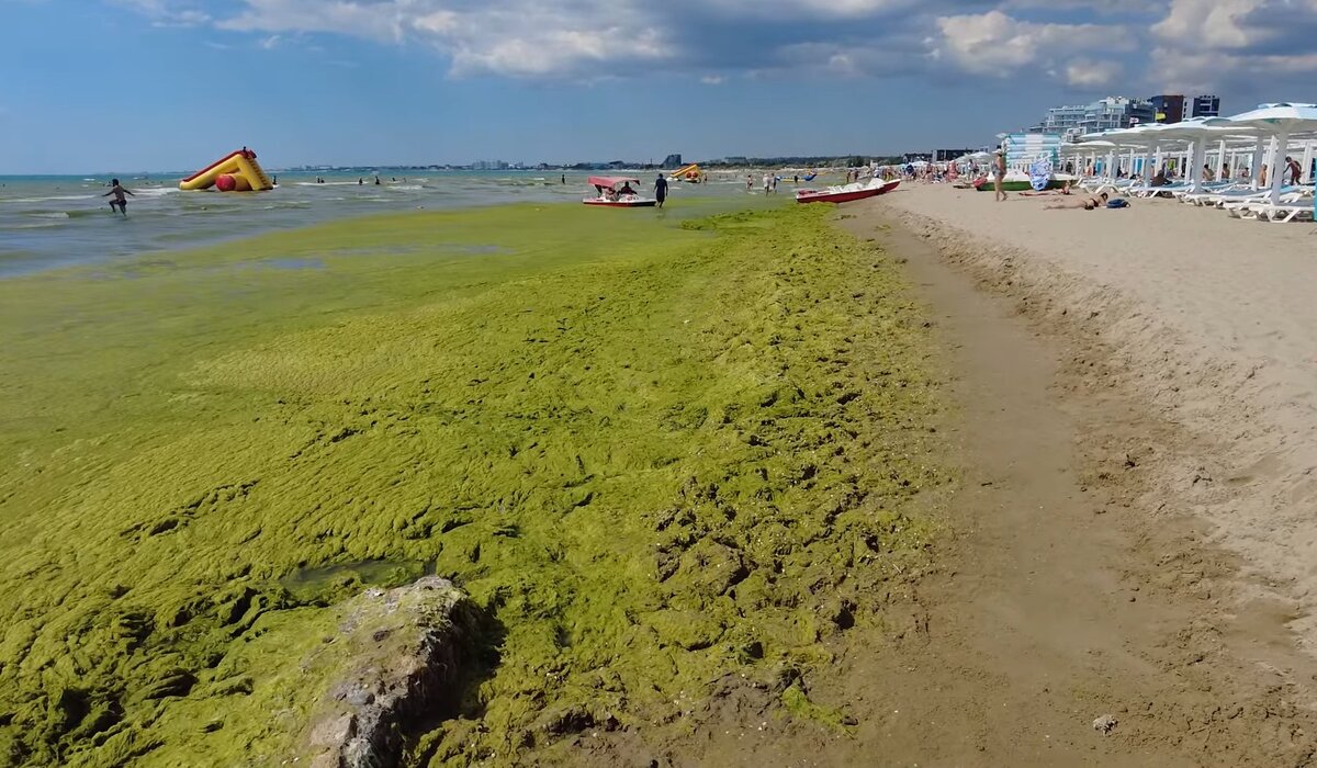 Когда цветет море в анапе