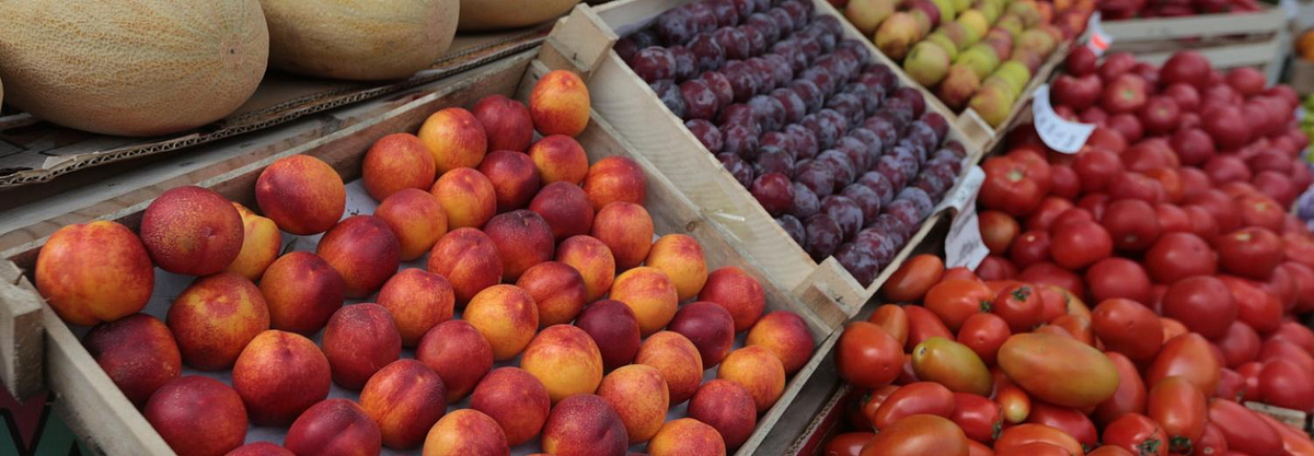 Фото: nsknews.info