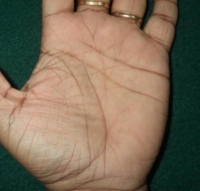 Как тут разобраться с главными линиями? https://avatars.dzeninfra.ru/get-zen_doc/5286518/pub_62bb3cf1ac401054d144e344_62c144e238e78128b4bfe731/scale_1200