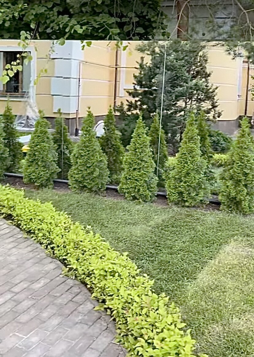 Скрин автора из открытого источника Телеграм