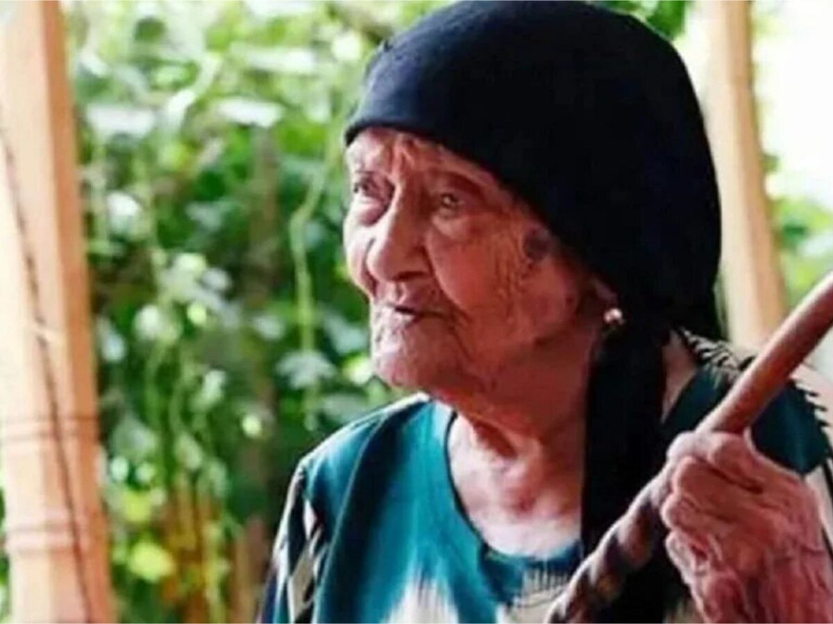 Фото из Яндекс Дзен