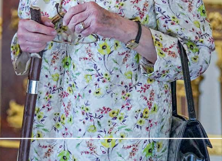 Скриншот-цитата из журнала про Платиновый юбилей - фрагмент фото