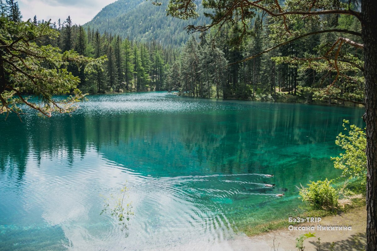 Озеро, в котором тонет парк и куда по весне приезжают дайверы, чтобы нырять среди гор