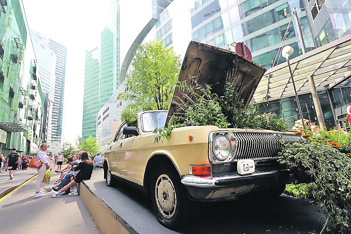 «Водитель» пустил корни сказочный лес проник даже в автомобили!