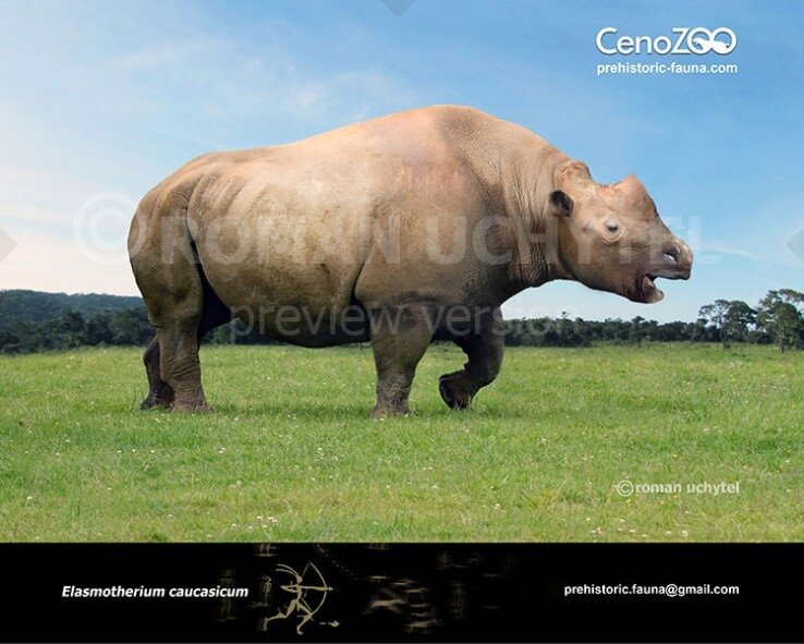 Ну, кто на меня?!