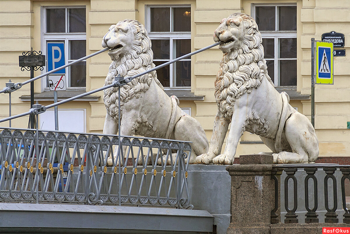 Фото львы санкт петербурга