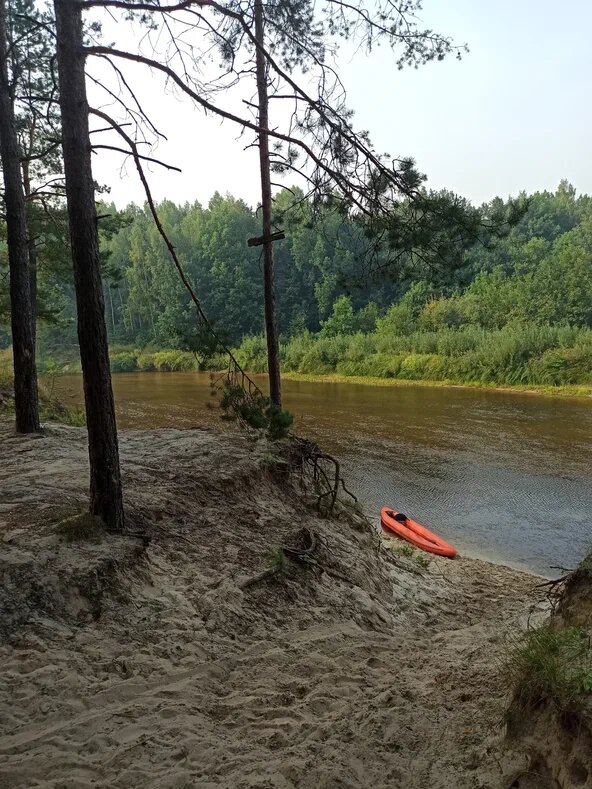 Обожаю Керженец за вот такие берега